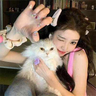 艾莉塔:战斗天使